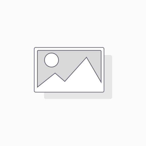 2. (RON) | Digital Notary Seal